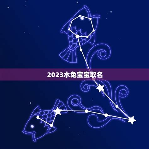 2023水兔寶寶 諺名字意思